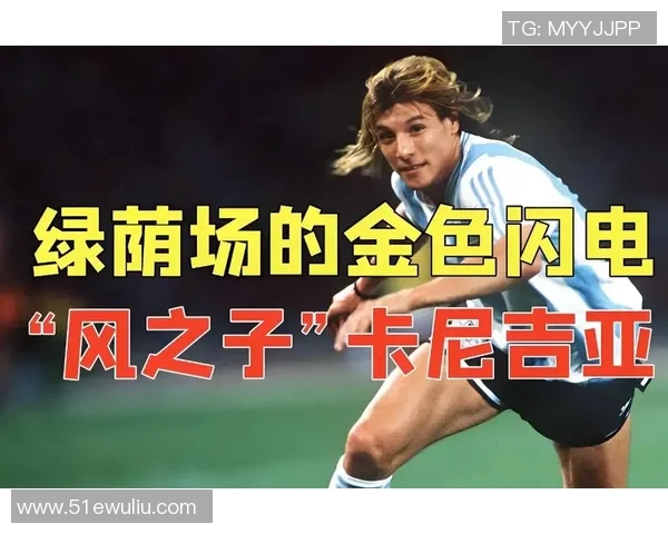 足球明星风之子的真实身份揭秘与成就分析