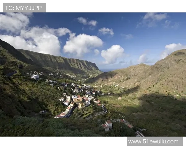 加纳足球明星全景展示及其成就分析表格